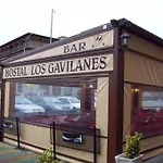 Gavilanes II